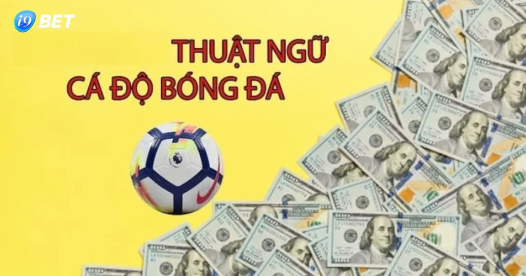 Cách Thực Hiện Thuật Ngữ Cá Độ Bóng Đá