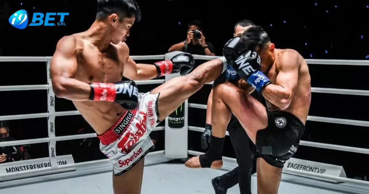Cách Đọc Kèo Quyền Anh Tại I9bet
