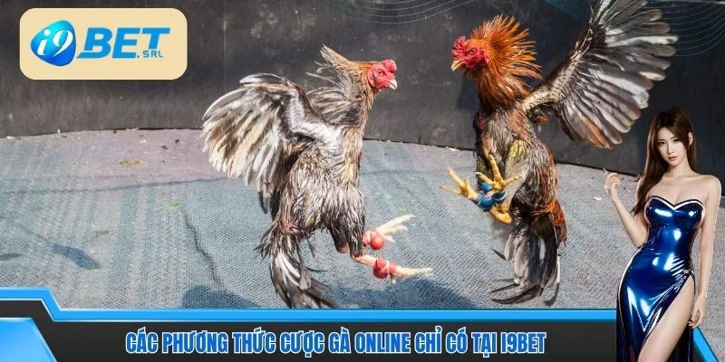 Hướng Dẫn Đá Gà I9BET Thắng Nhanh Cho Thành Viên Mới 3 Các phương thức cược gà online chỉ có tại I9BET